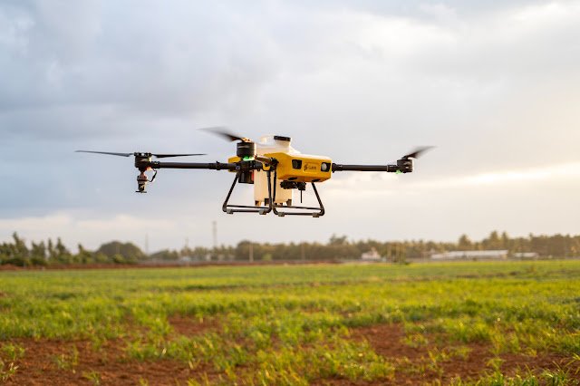 WhatsAppImage2025-09-17at115517_af7f11eb